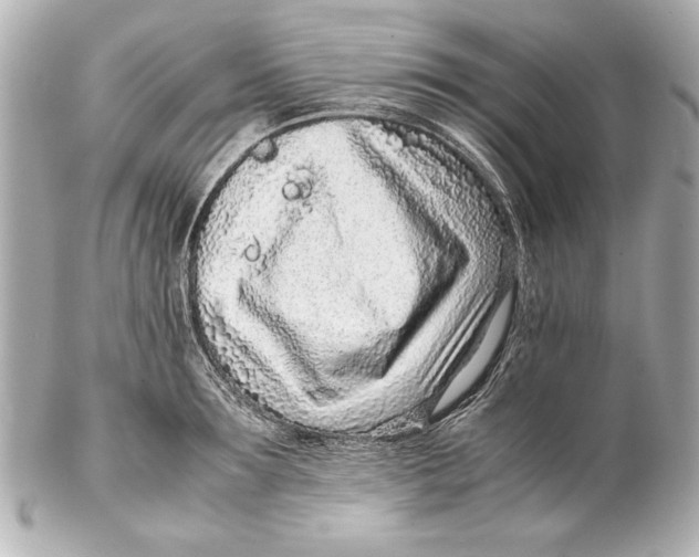 X0000102270899200808151902