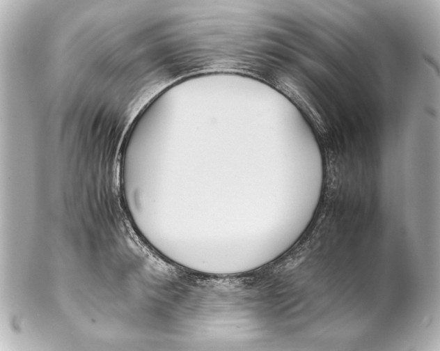 X0000102270900200808151902