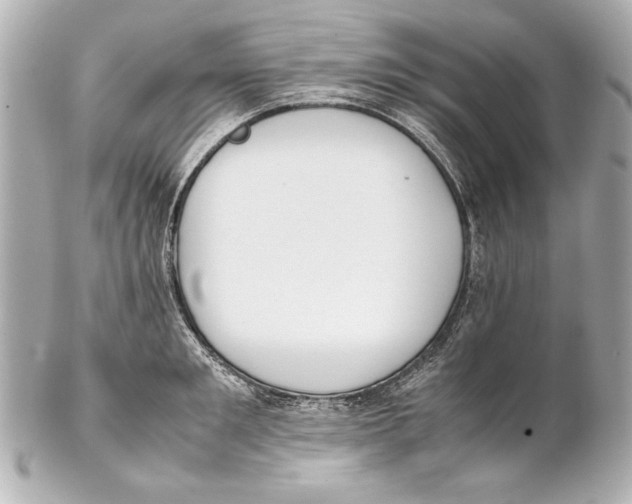 X0000102270901200808151902