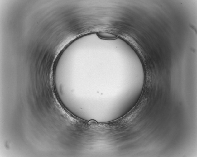 X0000102270902200808151901