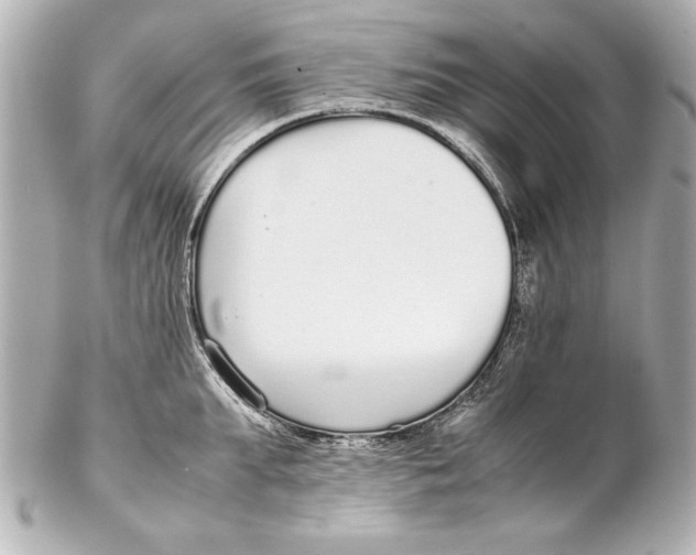 X0000102270903200808151901