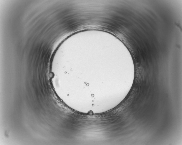 X0000102270904200808151901