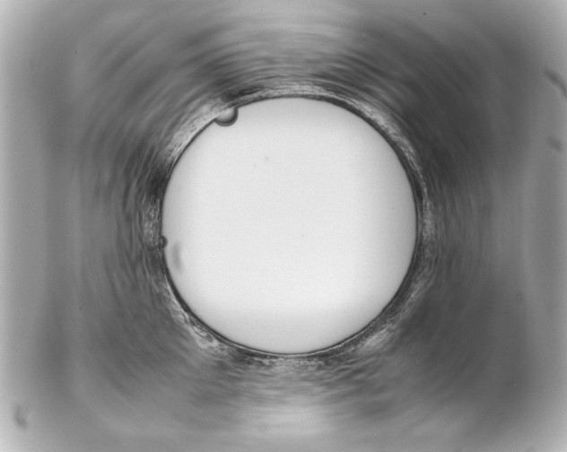 X0000102270905200808151901