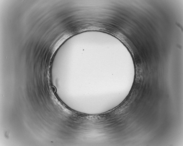 X0000102270906200808151901