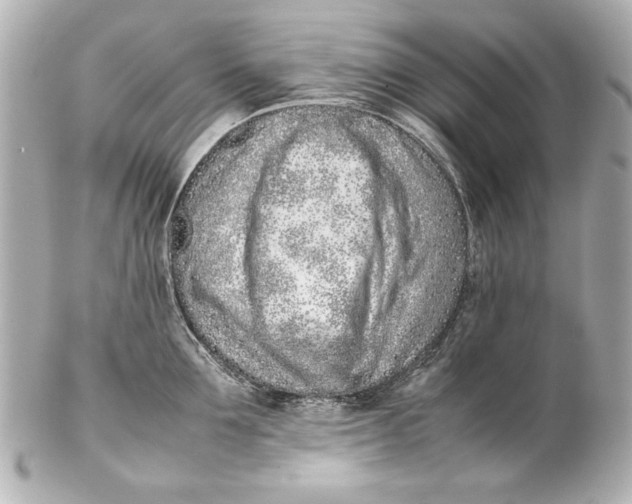 X0000102270907200808151901