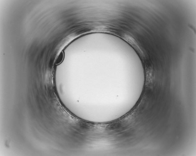 X0000102270908200808151901