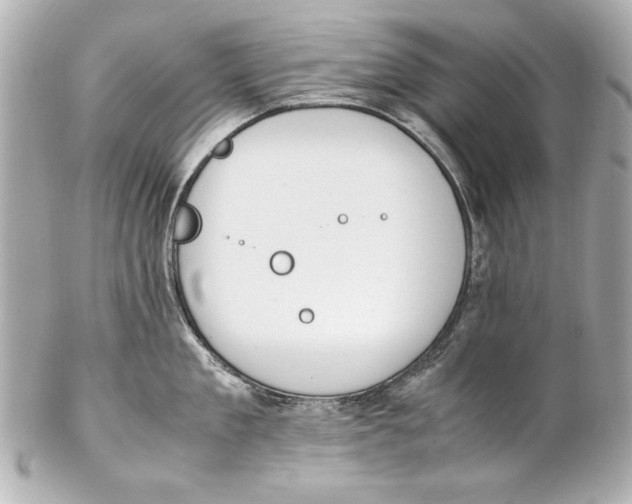 X0000102270909200808151901