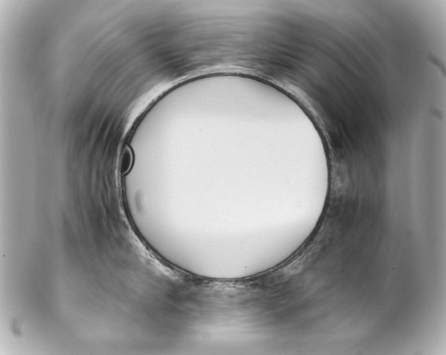 X0000102270910200808151901