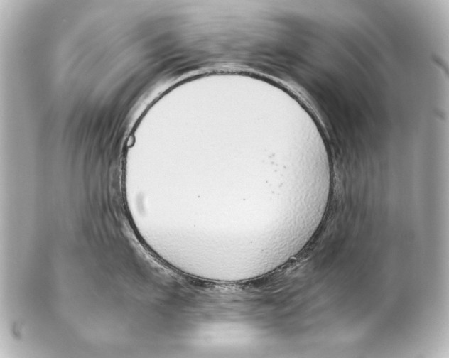 X0000102270911200808151901