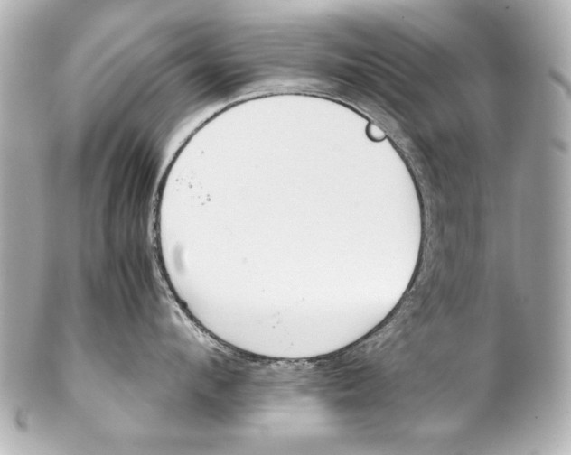 X0000102270912200808151901