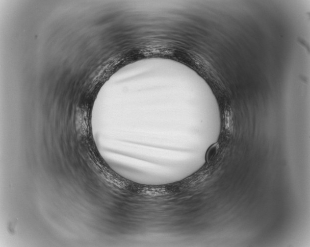 X0000102270915200808151900