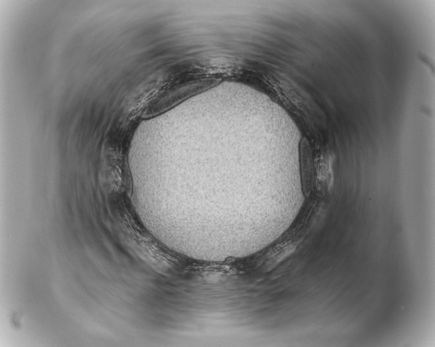 X0000102270916200808151900