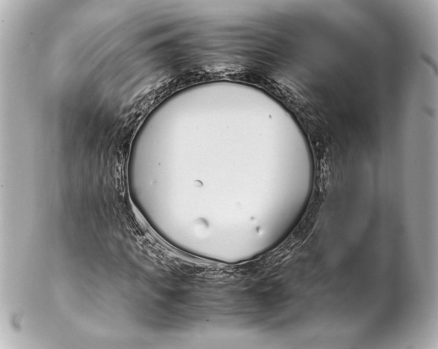 X0000102270917200808151900