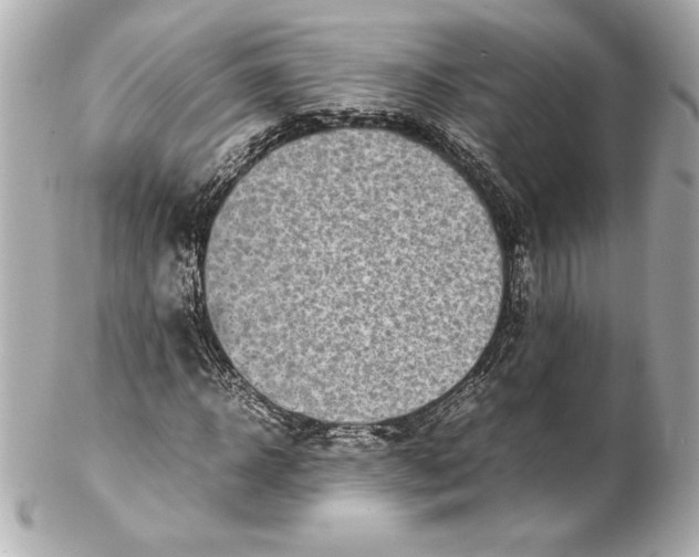 X0000102270918200808151900