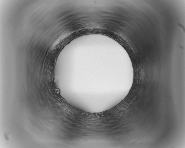 X0000102270919200808151900