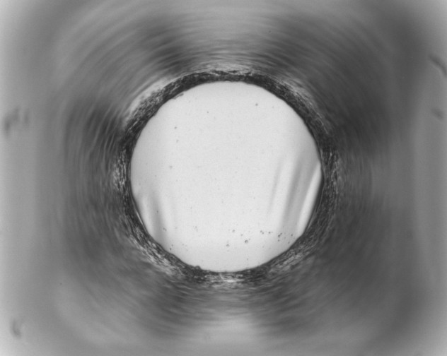 X0000102270920200808151900