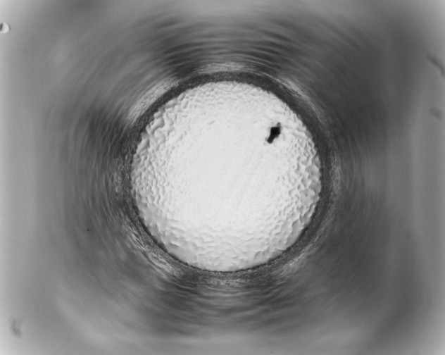 X0000102270921200808151900