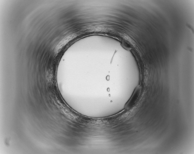 X0000102270922200808151900