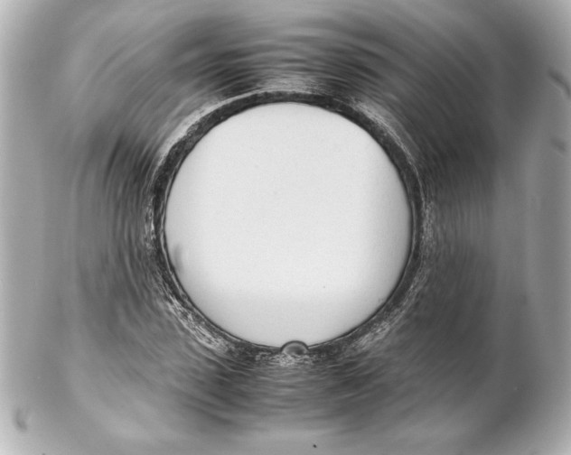 X0000102270923200808151900