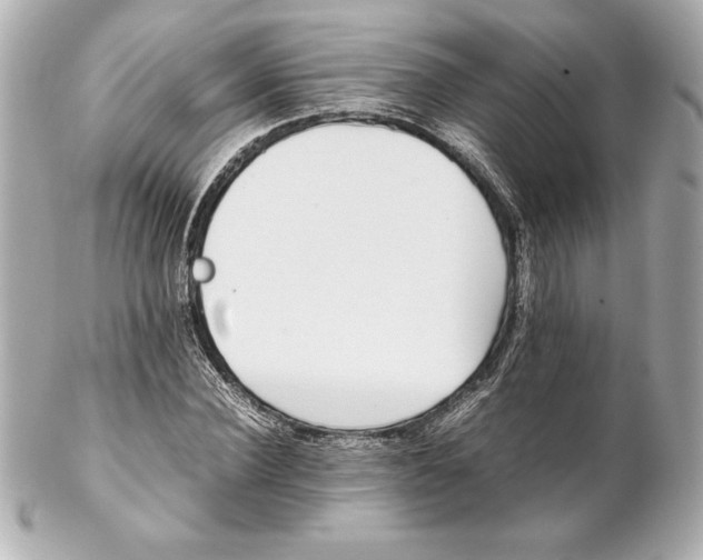 X0000102270924200808151900