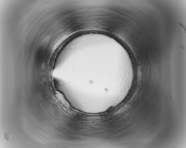 X0000102270925200808151900