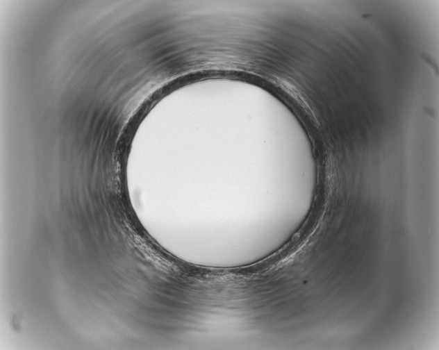 X0000102270926200808151900