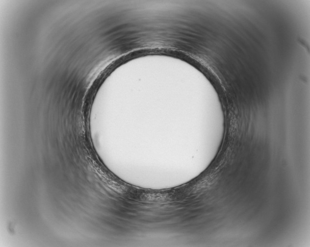 X0000102270927200808151901