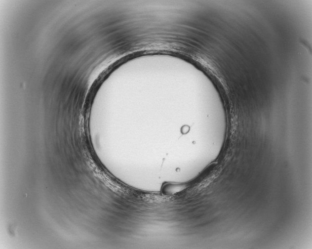 X0000102270928200808151901