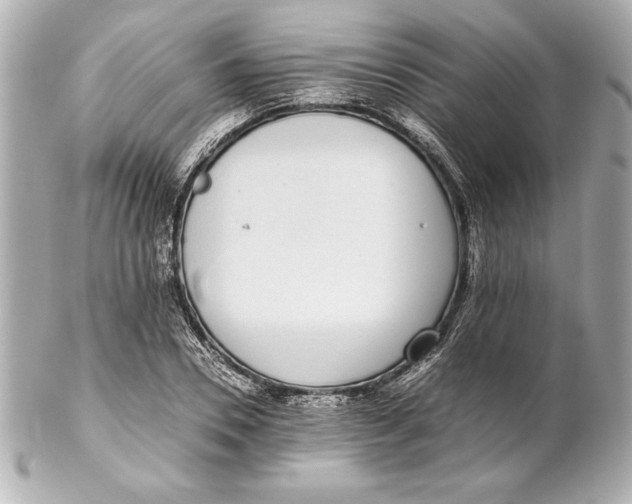 X0000102270930200808151901