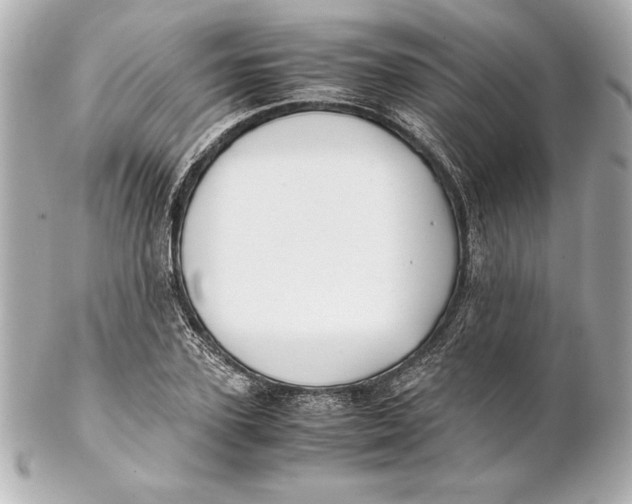 X0000102270931200808151901