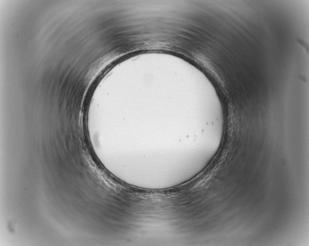 X0000102270932200808151901