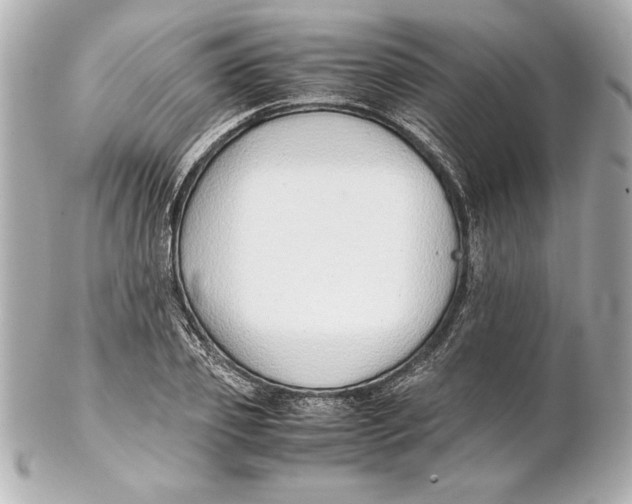 X0000102270933200808151901