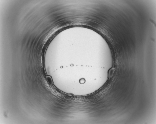 X0000102270934200808151901