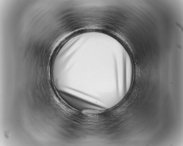 X0000102270935200808151901