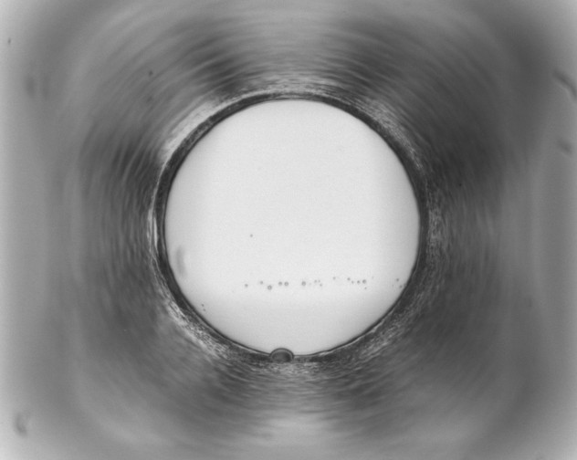 X0000102270936200808151901