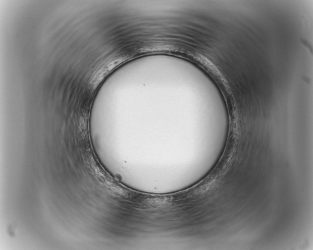 X0000102270937200808151901