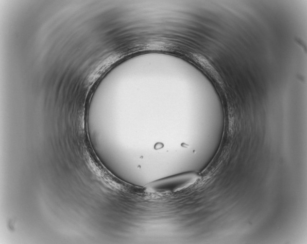 X0000102270938200808151901