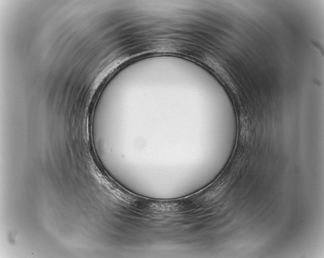 X0000102270939200808151901