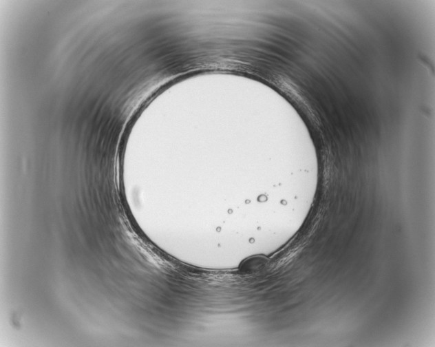 X0000102270940200808151901