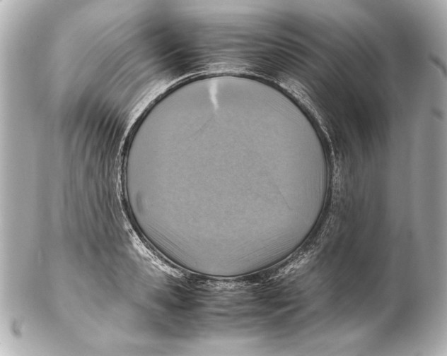 X0000102270941200808151901