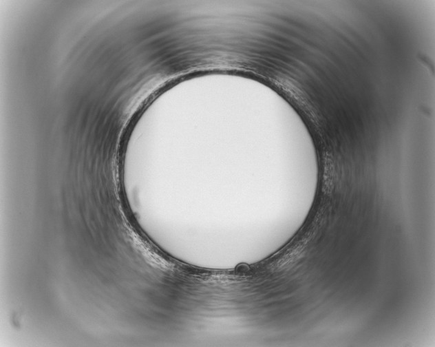 X0000102270942200808151901