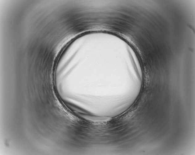 X0000102270943200808151901