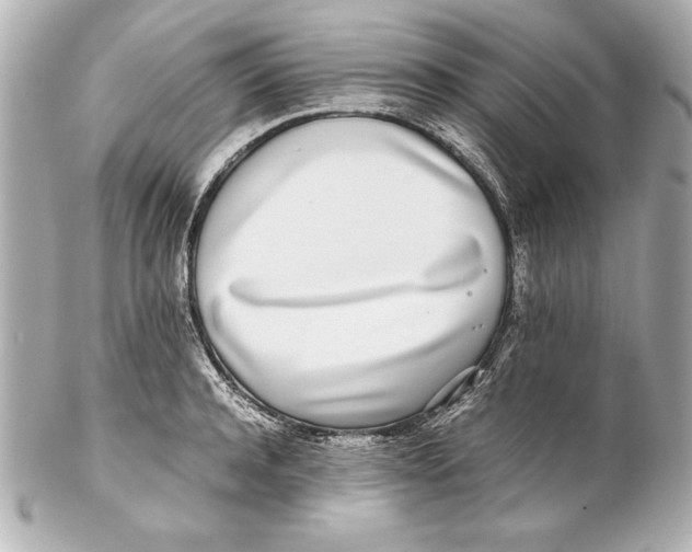 X0000102270944200808151901