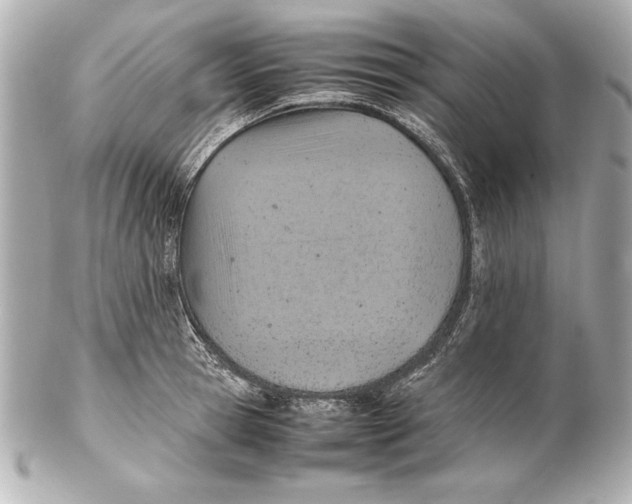 X0000102270945200808151901