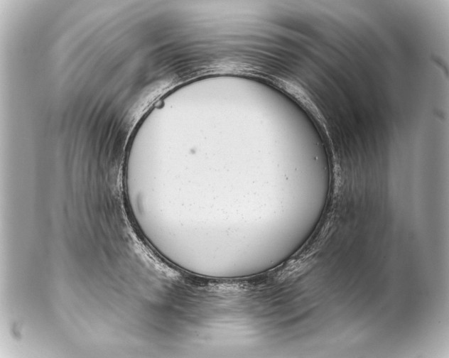 X0000102270946200808151901