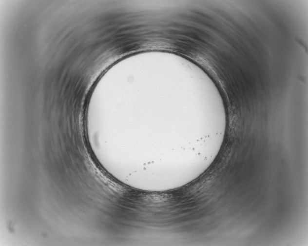 X0000102270947200808151901