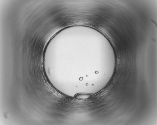 X0000102270948200808151901