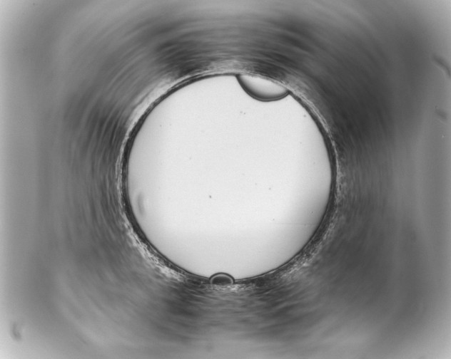 X0000102270949200808151901