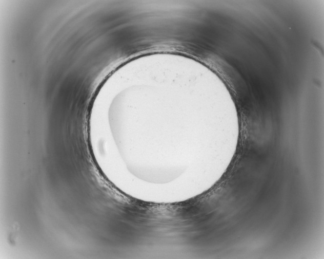 X0000102270950200808151901