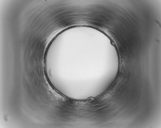 X0000102270951200808151901